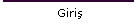 Giriş